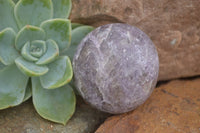 Polished Purple Lepidolite With Pink Tourmaline Points  x 12 From Madagascar - TopRock