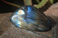 Polished Labradorite Standing Free Forms  x 6 From Madagascar