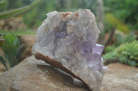 Natural Jacaranda Amethyst Cluster x 1 From Mumbwa, Zambia - TopRock