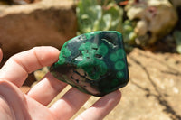 Polished Malachite Free Forms With Stunning Flower & Banding Patterns x 6 From Congo - TopRock