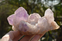 Natural Small Jacaranda Amethyst Quartz Vug Clusters  x 2 From Mumbwa, Zambia - TopRock