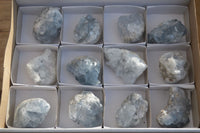 Natural Blue Celestite Crystal Specimens  x 12 From Sakoany, Madagascar