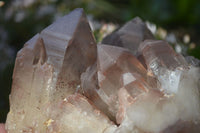 Natural Red Hematoid Quartz Specimens x 3 From Karoi, Zimbabwe