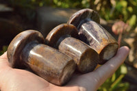 Polished Lithium Mica Mushroom Carvings  x 6 From Zimbabwe - TopRock