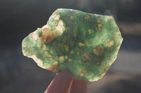 Polished One Side Polished Emerald Mtorolite Plates  x 6 From Zimbabwe