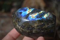 Polished Labradorite Standing Free Forms  x 6 From Madagascar