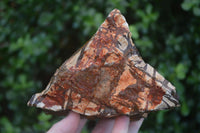 Natural Rough Nguni Jasper Specimens  x 3 From Northern Cape, South Africa - Toprock Gemstones and Minerals 