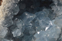 Natural Large Blue Celestite Geode Specimen  x 1 From Sakoany, Madagascar