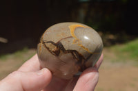 Polished Septaria Dragon's Eggs (Calcite & Aragonite) x 5 From Mahajanga, Madagascar - TopRock