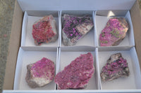 Natural Pink Salrose Cobaltion Dolomite Specimens  x 6 From Congo - Toprock Gemstones and Minerals 