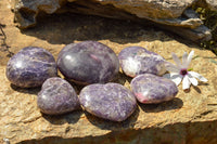 Polished Purple Lepidolite Mica Hearts  x 6 From Madagascar - TopRock