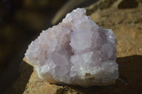 Natural Spirit Amethyst Quartz Clusters x 6 From Boekenhouthoek, South Africa