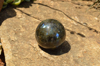 Polished Labradorite Spheres With Nice Subtle Flash x 7 From Tulear, Madagascar - TopRock