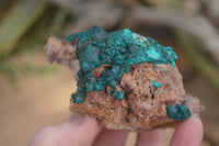 Natural Classic Emerald Dioptase Crystal Specimens  x 2 From Likasi, Congo