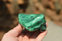 Polished Malachite Free Forms With Stunning Flower & Banding Patterns x 6 From Congo - TopRock