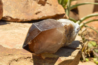 Natural Smokey Quartz Crystal With Natural Sides  x 2 From Mt. Mulanje, Malawi - TopRock