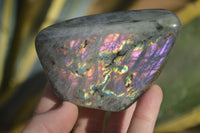 Polished Rare Purple Flash Labradorite Standing Free Forms x 4 From Tulear, Madagascar