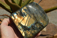 Polished Labradorite Standing Free Forms With Intense Blue & Gold Flash x 2 From Sakoany, Madagascar - TopRock