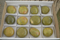 Polished Large Green Opal Palm Stones  x 12 From Madagascar - Toprock Gemstones and Minerals 