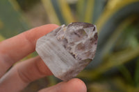 Polished Small Window Amethyst Crystals  x 12 From Madagascar - TopRock