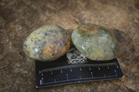 Polished Dendritic Green Opal Palm Stones  x 12 From Madagascar - Toprock Gemstones and Minerals 