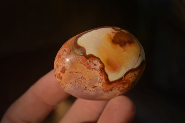 Polished  Polychrome / Picasso Jasper Palm Stones  x 20 From Madagascar