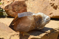 Natural Smokey Quartz Crystal With Natural Sides  x 2 From Mt. Mulanje, Malawi - TopRock