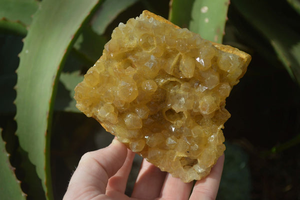 Natural Limonite Quartz Clusters x 3 From Solwezi, Zambia