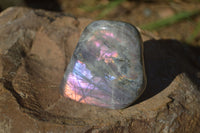 Polished Rare Purple Flash Labradorite Standing Free Forms x 4 From Tulear, Madagascar