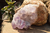 Natural Small Jacaranda Amethyst Quartz Vug Clusters  x 2 From Mumbwa, Zambia - TopRock