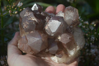 Natural Red Hematoid Quartz Specimens x 3 From Karoi, Zimbabwe