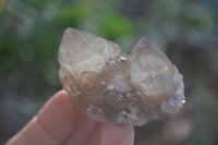 Natural Cascading White Phantom Smokey Quartz Clusters x 6 From Luena, Congo