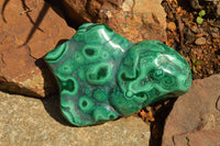 Polished Malachite Free Forms With Stunning Flower & Banding Patterns x 2 From Congo - TopRock