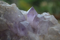 Natural Jacaranda Amethyst Cluster x 1 From Mumbwa, Zambia - TopRock