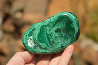 Polished Malachite Free Forms With Stunning Flower & Banding Patterns x 6 From Congo - TopRock