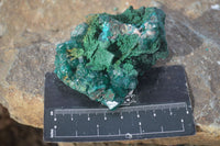 Natural Classic Emerald Dioptase Crystal Specimens  x 2 From Likasi, Congo