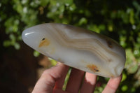 Polished Agate Standing Free Forms x 3 From Madagascar