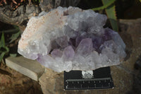 Natural Jacaranda Amethyst Cluster  x 1 From Zambia - Toprock Gemstones and Minerals 