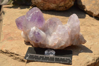 Natural Small Jacaranda Amethyst Quartz Vug Clusters  x 2 From Mumbwa, Zambia - TopRock