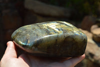 Polished Labradorite Standing Free Forms With Intense Blue & Gold Flash x 2 From Sakoany, Madagascar - TopRock