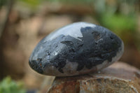 Polished Tourmalinated Quartz Free Forms  x 8 From Karibib, Namibia - TopRock