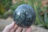 Polished Stromatolite / Kambamba Jasper Spheres  x 3 From Mahajanga, Madagascar - Toprock Gemstones and Minerals 