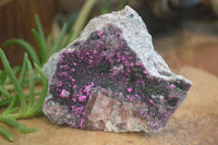 Natural Pink Salrose Cobaltion Dolomite Specimens  x 6 From Congo - Toprock Gemstones and Minerals 