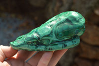 Polished Malachite Free Forms With Stunning Flower & Banding Patterns x 2 From Congo - TopRock