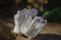 Natural Sugar Amethyst Clusters  x 12 From Solwezi, Zambia - Toprock Gemstones and Minerals 