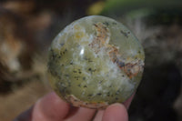 Polished Dendritic Green Opal Palm Stones  x 12 From Madagascar - Toprock Gemstones and Minerals 