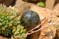 Polished Labradorite Spheres With Nice Subtle Flash x 7 From Tulear, Madagascar - TopRock