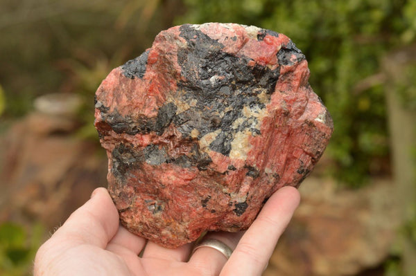 Natural Rough Cobbed Pink Rhodonite & Chromite Specimens  x 7 From Zimbabwe - TopRock