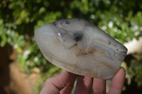 Polished Agate Standing Free Forms x 3 From Madagascar