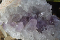 Natural Jacaranda Amethyst Cluster  x 1 From Zambia - Toprock Gemstones and Minerals 